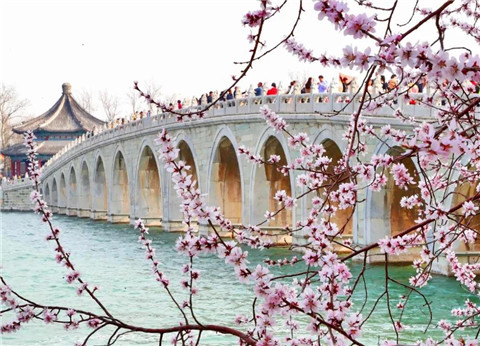 赏花1.jpg