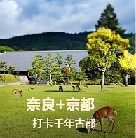 当地跟团-日本京都奈良一日游 一天之内游遍关西 刷爆朋友圈 天天发 1人可发  详细了解日本当地风土人情