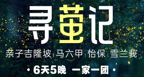 青岛到马来西亚私人小包团-马来西亚双飞6日游 一家一团 0自费0购物 往返直飞无夜航 吉隆坡一天自由活动 双子塔 榴莲园 