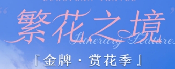 青岛的旅行社-青岛到荷兰旅游线路 荷兰比利时+奥地利德国捷克 5国15日游 荷兰赏花 国航直飞 前十立减名额