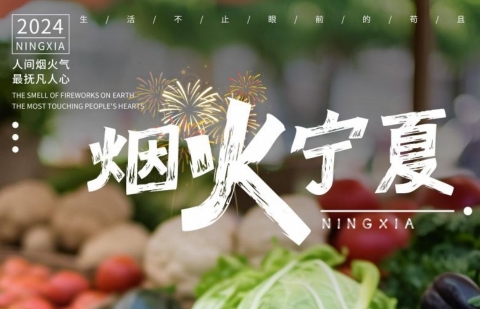青岛到宁夏跟团双飞5日游/深度当地特色/无购物无自费/沙坡头+西部影城y