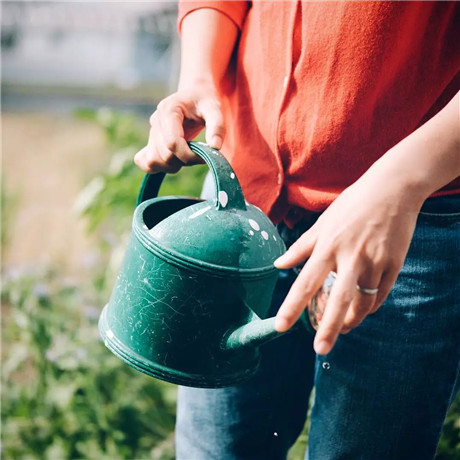 看平凡的日本夫妇如何把一日三餐经营的如此美好